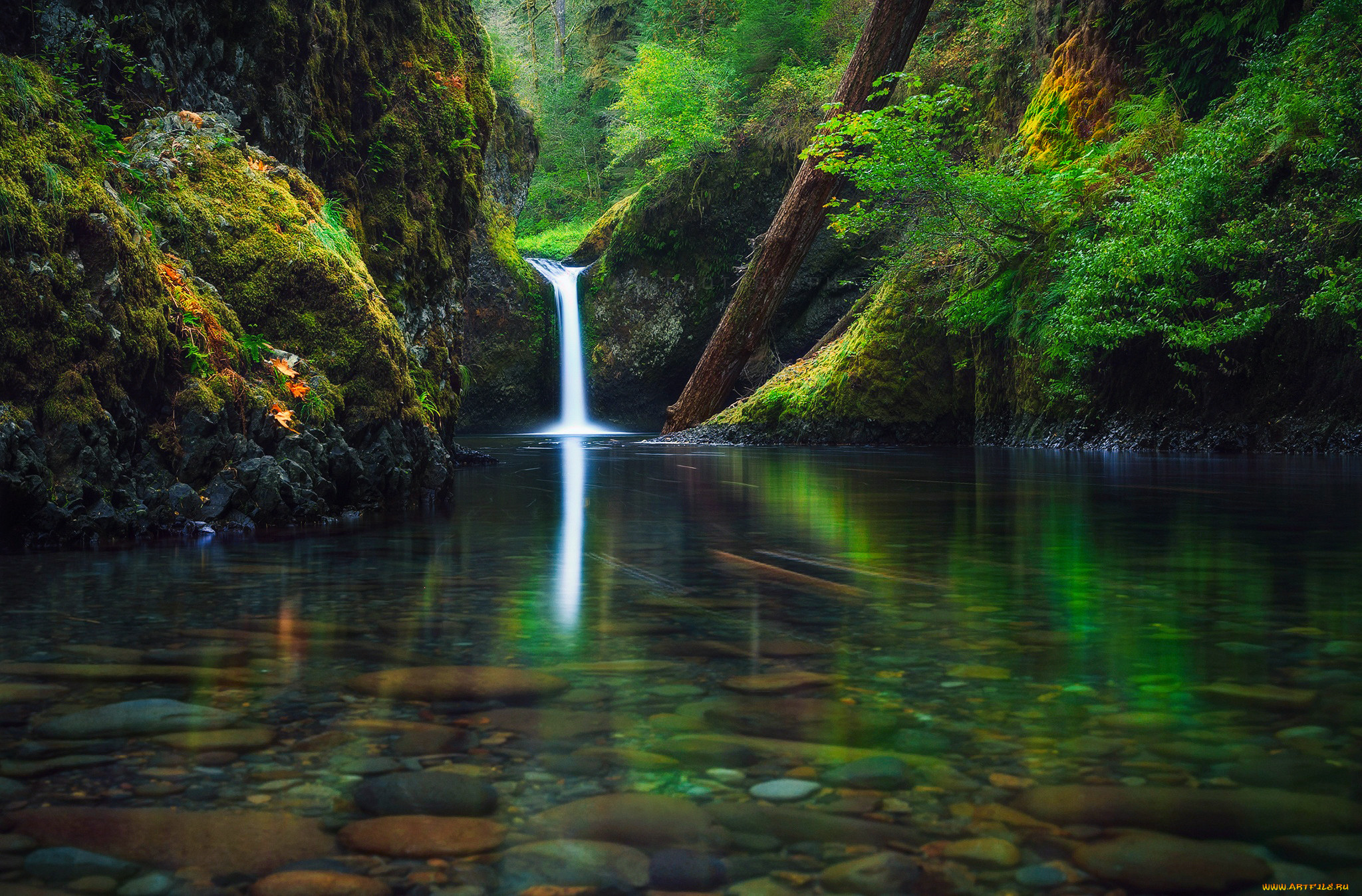 Установить на экране природу. Орегон водопад. Лесной водопад в Орегоне. Водопады штата Орегон.
